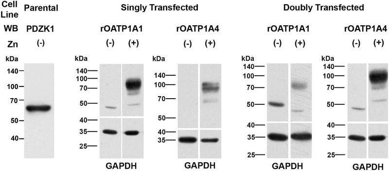 Figure 3: