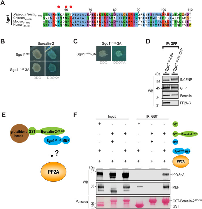 FIGURE 2: