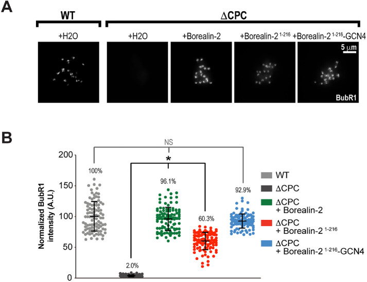 FIGURE 4: