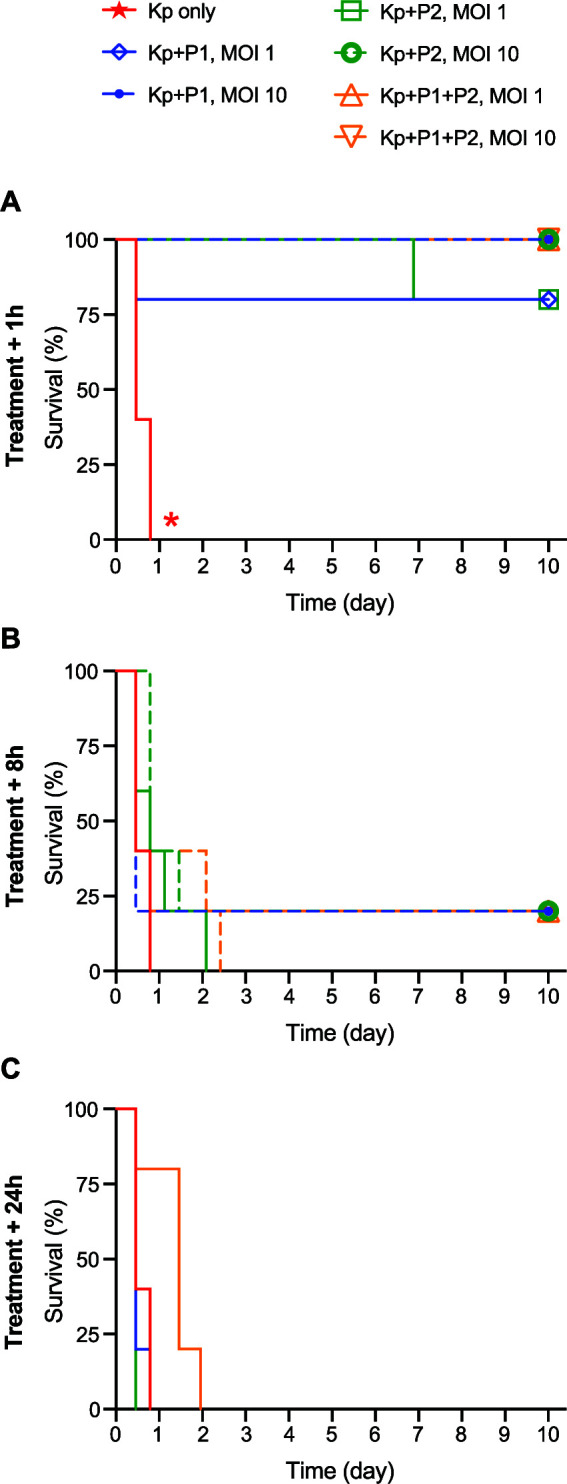 FIG 2