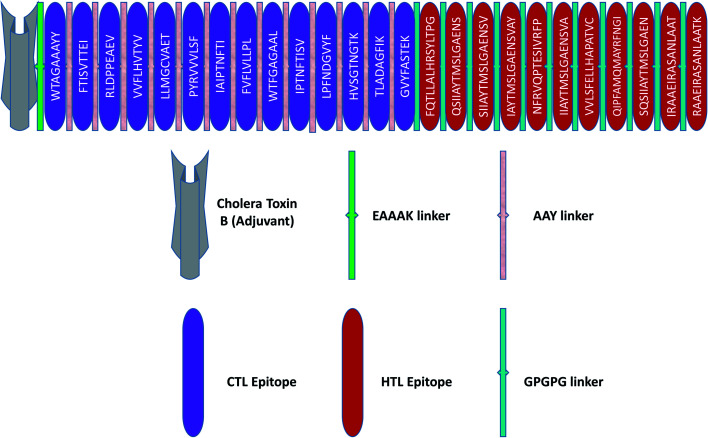 Fig. 2