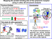 graphic file with name 41440_2022_1139_Figa_HTML.gif