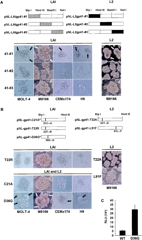 FIG. 2.