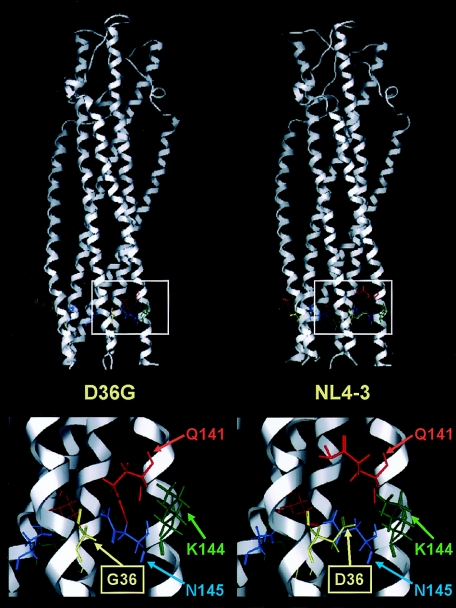 FIG. 5.