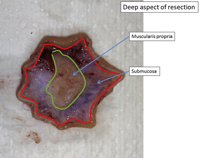 Figure 7