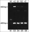 Fig. 5.