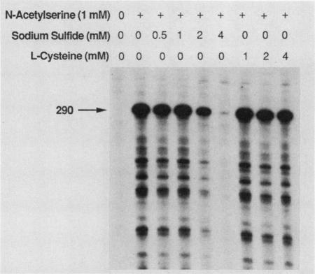 FIG. 5