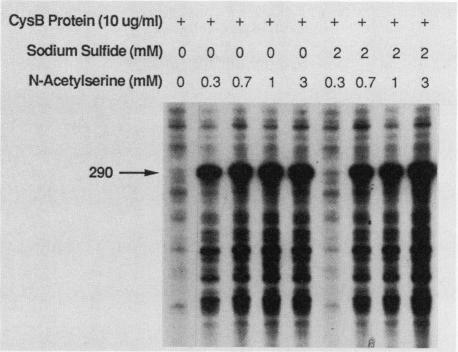 FIG. 7