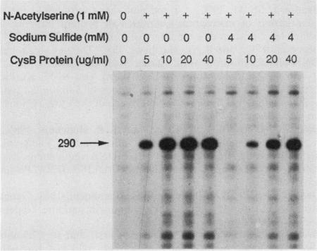 FIG. 6