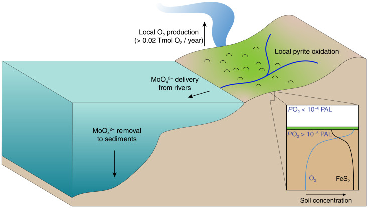 Fig. 4.