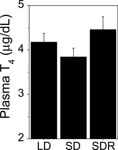 Fig 2.