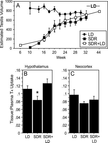 Fig 3.