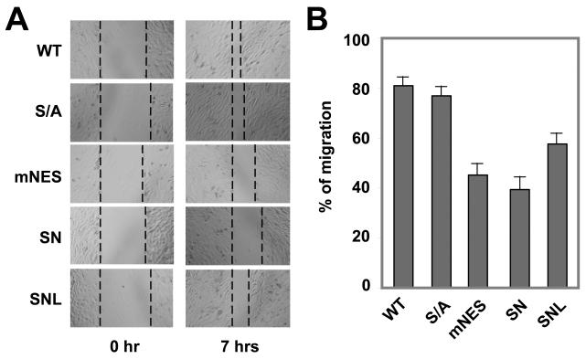 Fig. 9