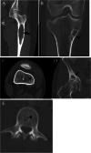 Fig. 7