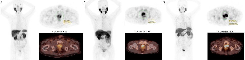 Figure 2