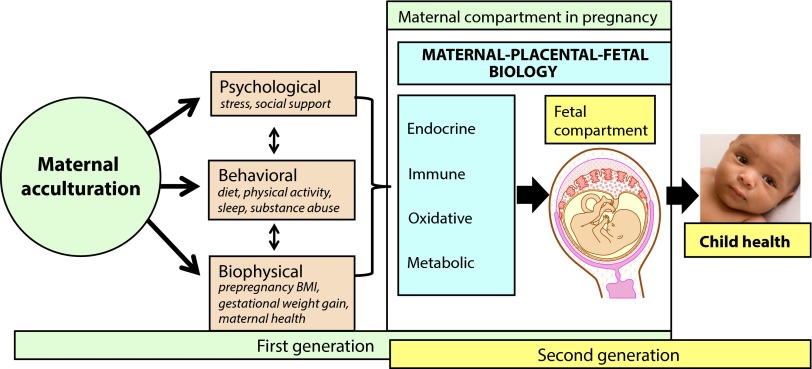 FIGURE 2—