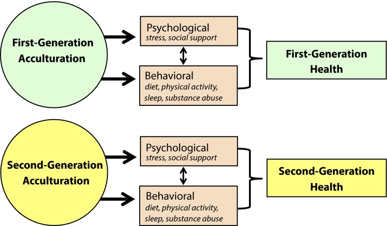 FIGURE 1—