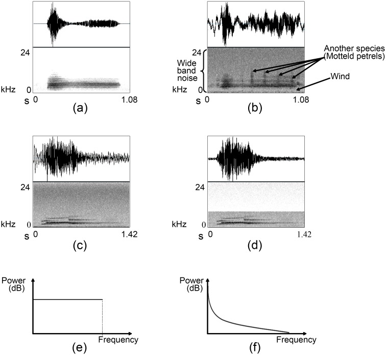 Fig 3