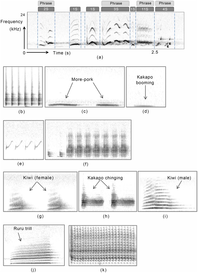 Fig 1