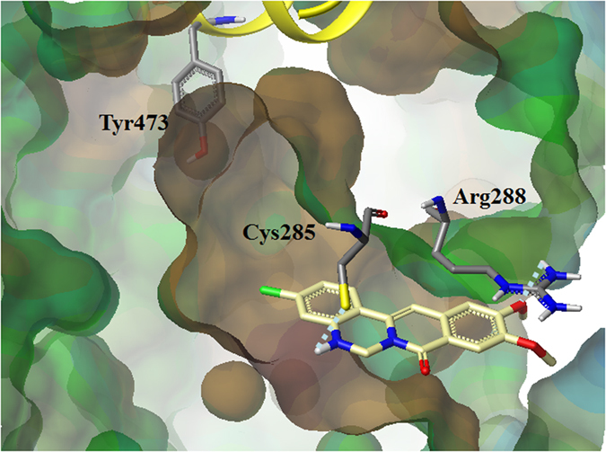 Figure 4