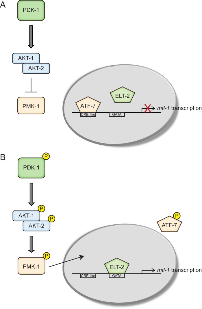 Fig 5