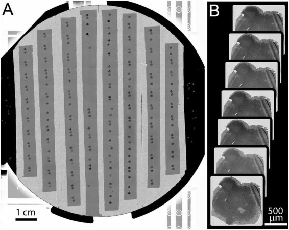 FIGURE 6