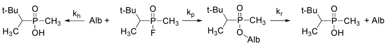 Scheme 4