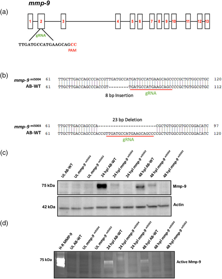 Figure 5