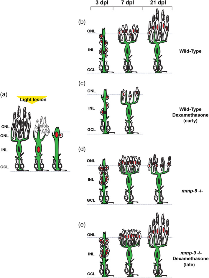 Figure 11