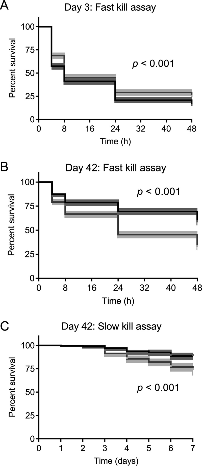 FIG 2