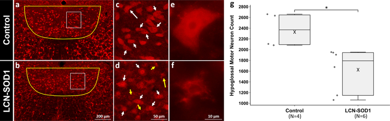 Fig. 10