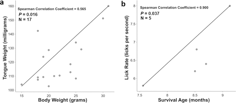 Fig. 11