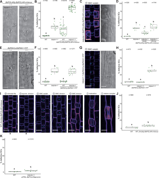 Figure 3—figure supplement 1.