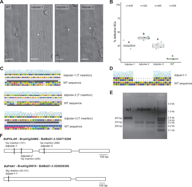 Figure 1—figure supplement 1.