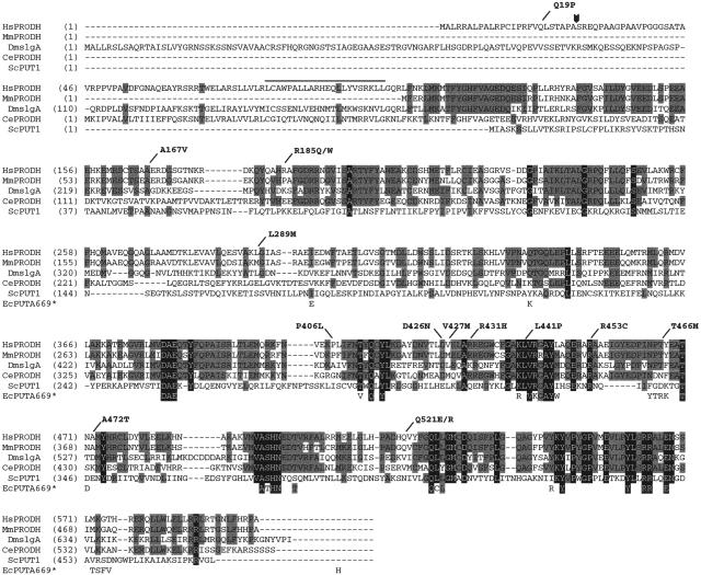 Figure  3