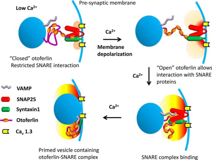 FIGURE 11.