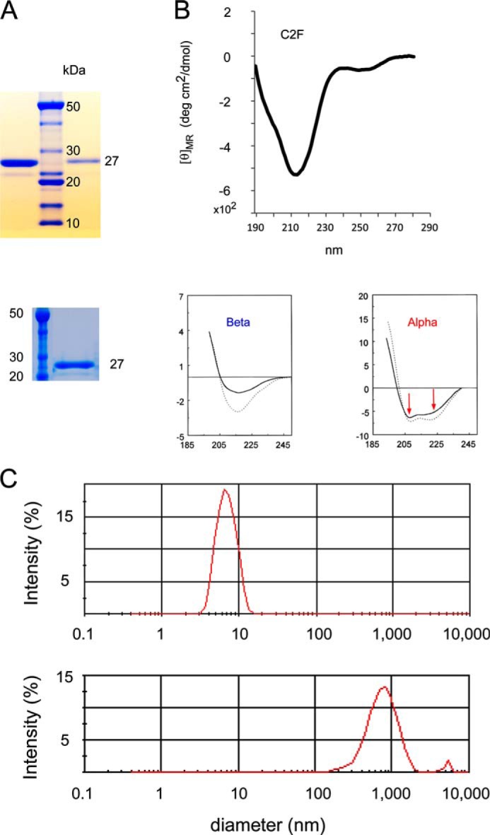 FIGURE 3.