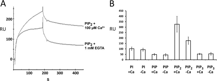 FIGURE 5.