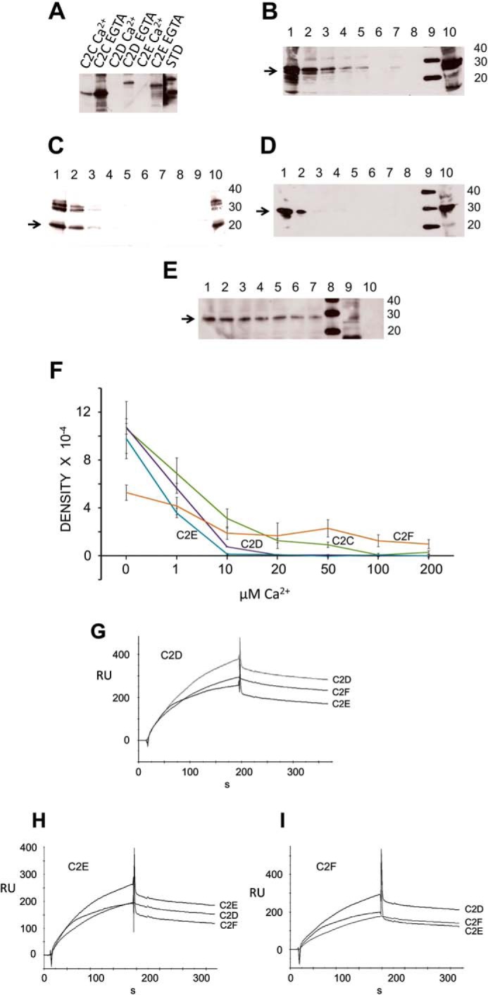 FIGURE 10.