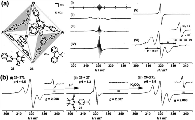 Fig. 10