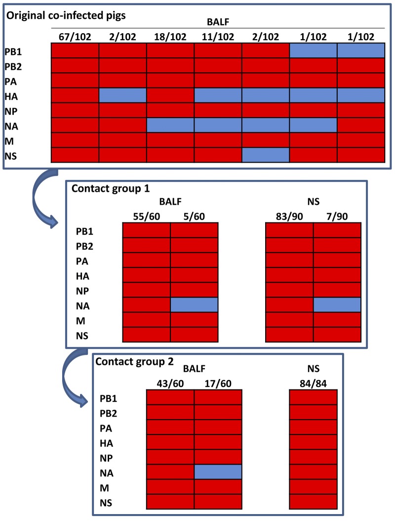 FIG 3 