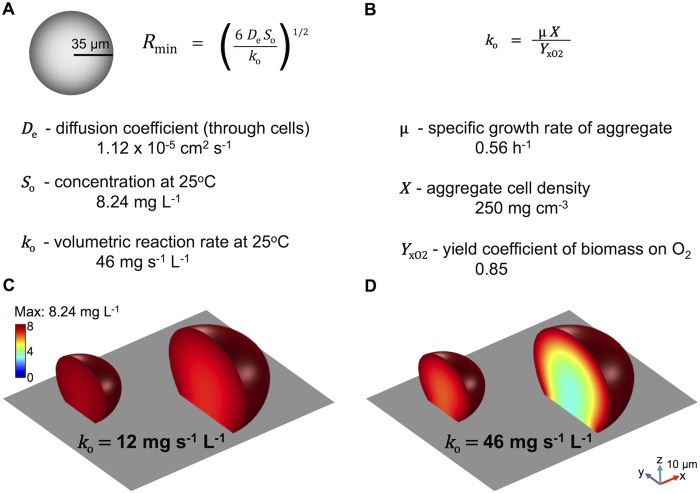 FIG 3 