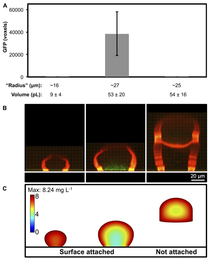 FIG 4 