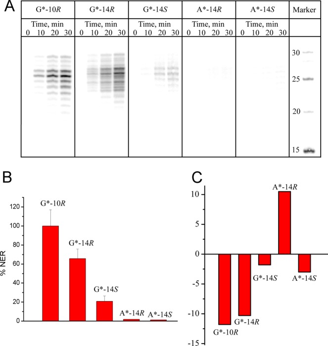 Figure 10