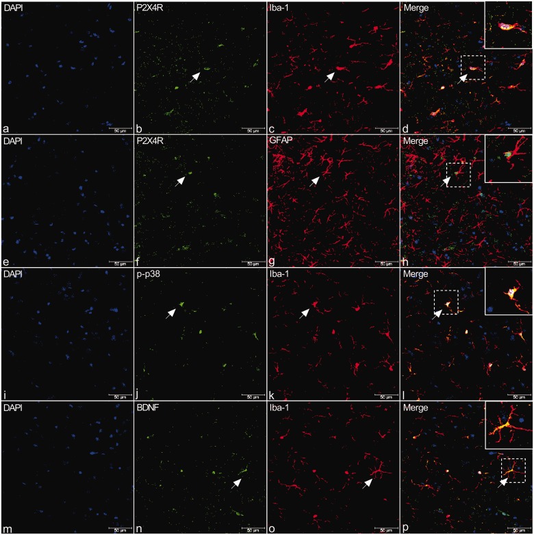 Figure 4.