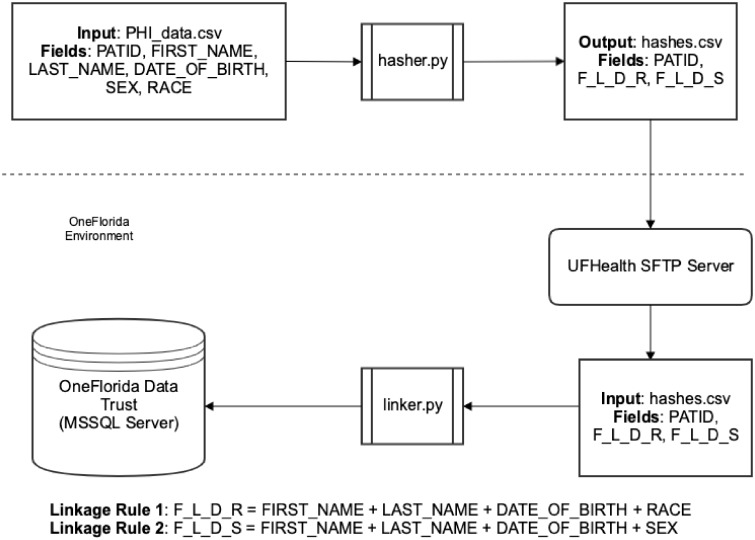 Figure 2.