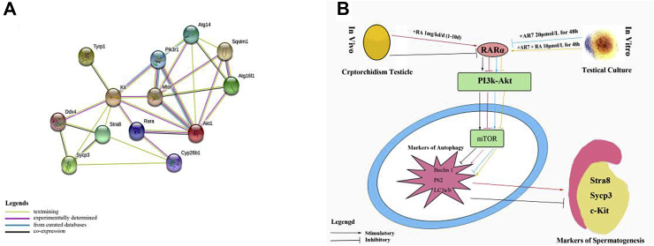 Figure 6