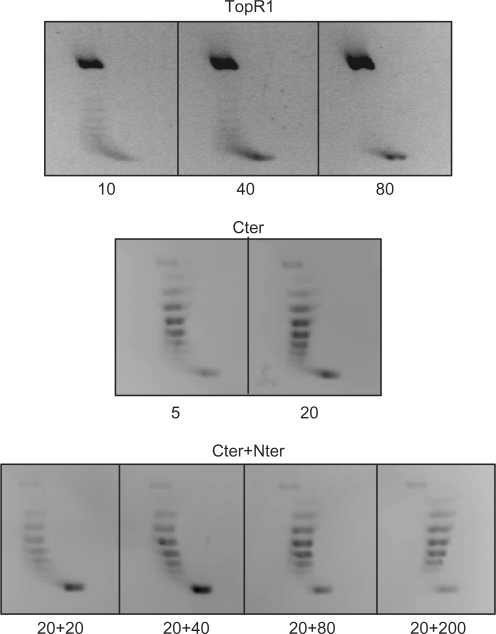 Figure 7.