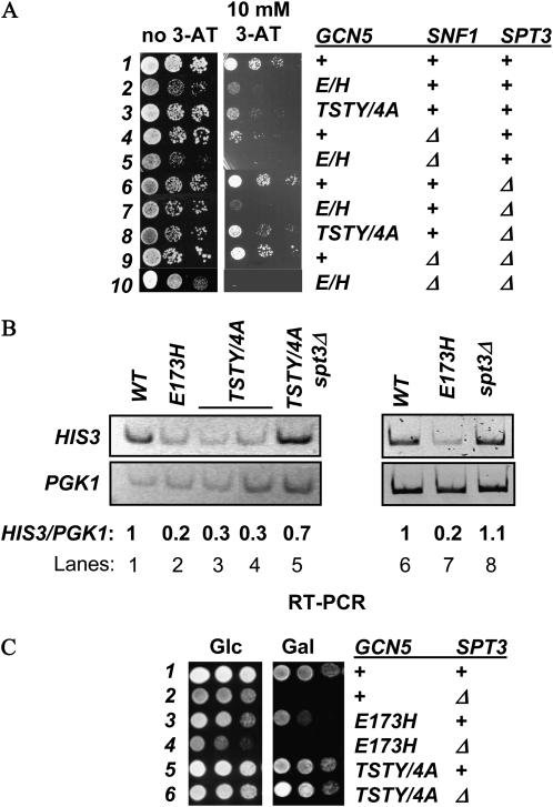 Figure 4.—