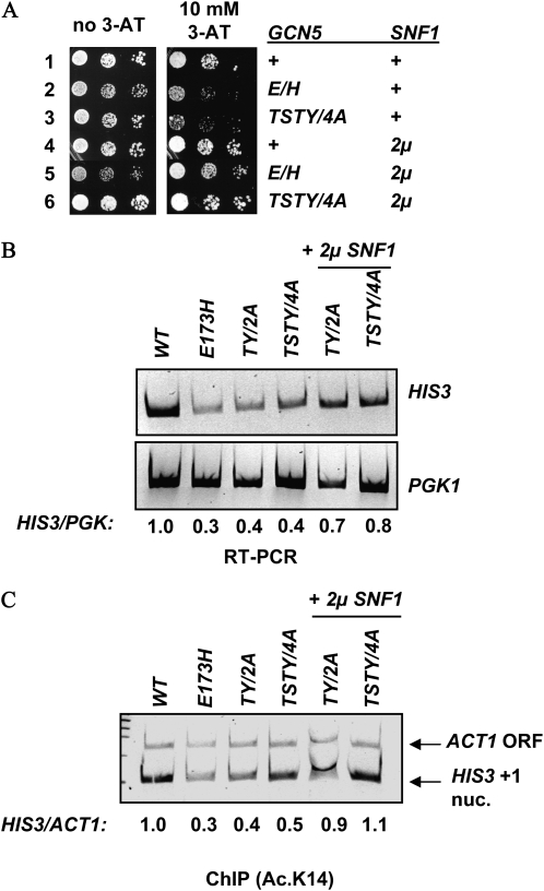 Figure 3.—